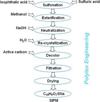 SIPM PROCESS
