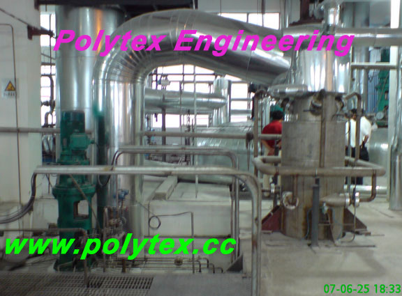 polytex CP plant